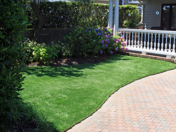 Artificial Grass Carpet Superior, Colorado Backyard Playground, Front Yard Landscaping Ideas