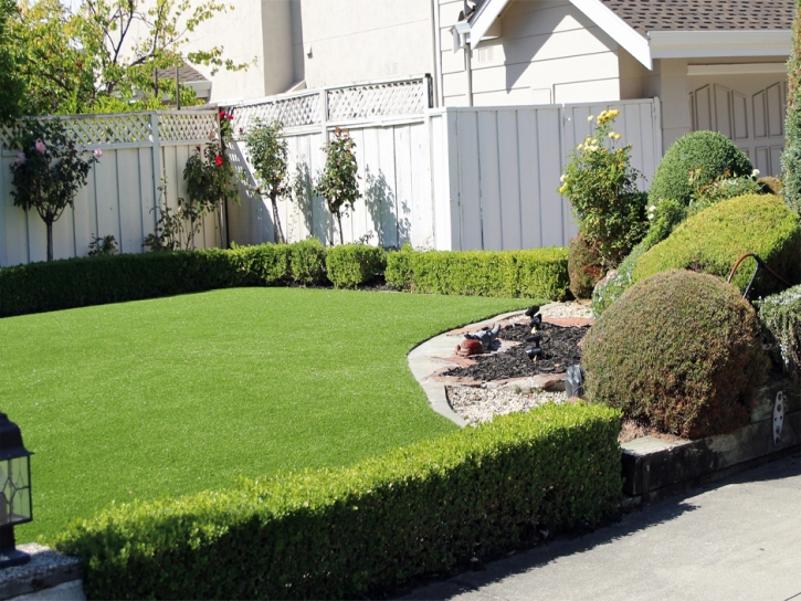 Artificial Grass Carpet Timnath, Colorado Gardeners, Front Yard Landscaping