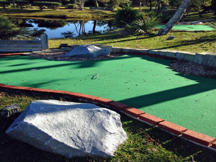 Artificial Grass Carpet Winter Park, Colorado Putting Green Turf, Backyards