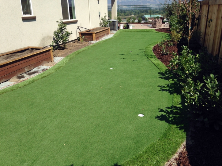 Artificial Grass El Jebel, Colorado Putting Green, Backyard Landscaping