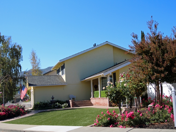 Artificial Grass Fort Collins, Colorado Home And Garden, Front Yard Landscape Ideas