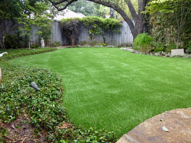 Artificial Grass Genoa, Colorado Landscape Rock, Backyard Garden Ideas