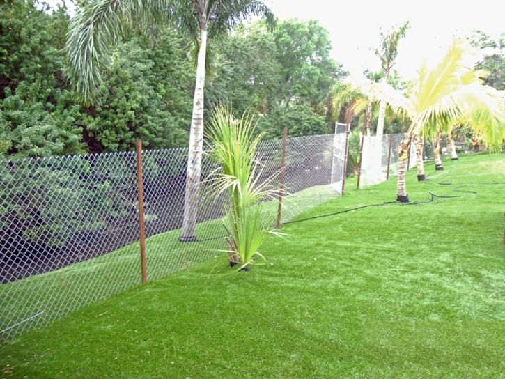 Artificial Grass Howard, Colorado Roof Top, Backyard