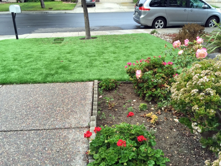 Artificial Grass Installation Stratmoor, Colorado Paver Patio, Front Yard