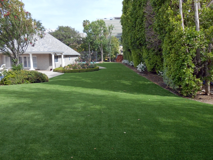 Artificial Grass La Junta, Colorado Garden Ideas, Landscaping Ideas For Front Yard