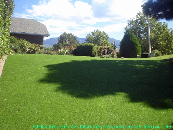 Artificial Grass Lakeside, Colorado Gardeners, Backyard Design