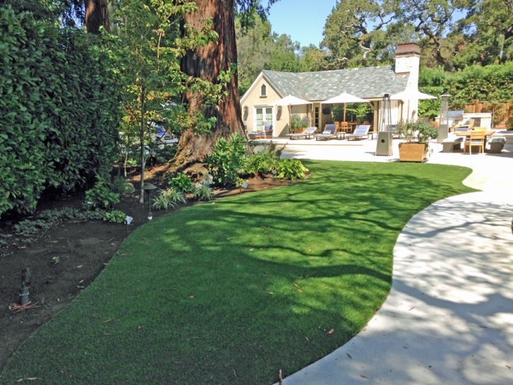 Artificial Grass Laporte, Colorado Home And Garden, Commercial Landscape