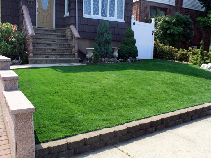 Artificial Grass Rockvale, Colorado City Landscape, Front Yard Landscaping