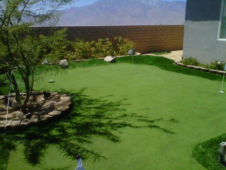 Artificial Grass Saguache, Colorado Lawn And Garden, Small Backyard Ideas