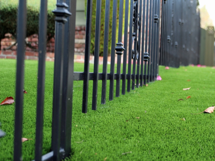 Artificial Grass Salt Creek, Colorado Landscape Design, Front Yard Design