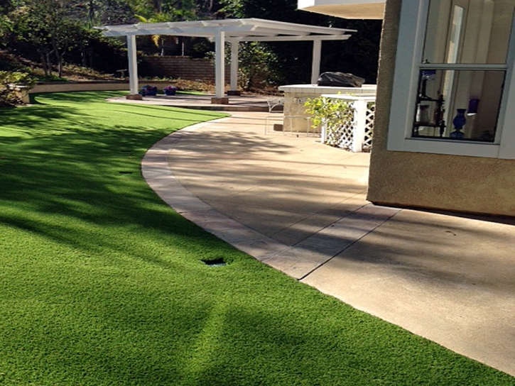 Artificial Grass Severance, Colorado Pet Turf, Front Yard Landscape Ideas