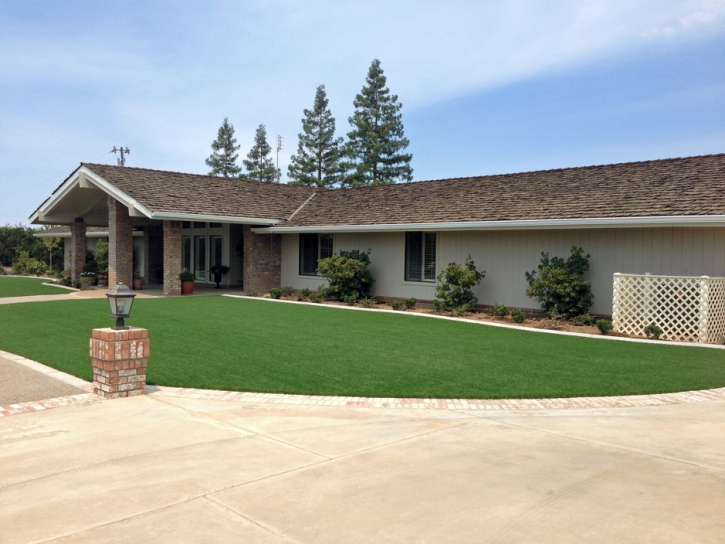 Artificial Grass Silverthorne, Colorado Landscaping Business, Small Front Yard Landscaping