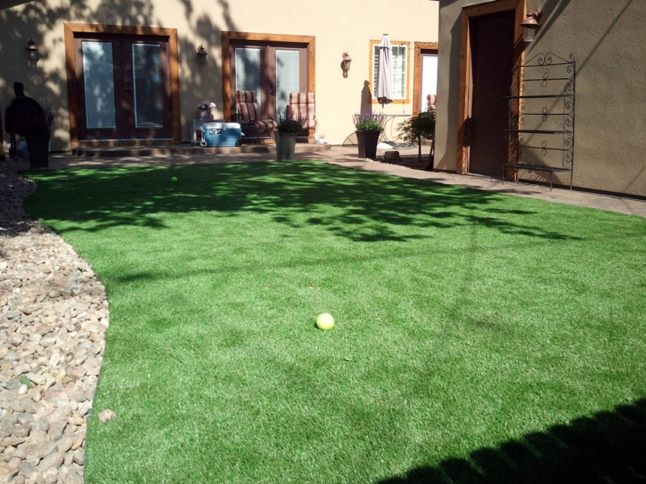 Artificial Grass Snowmass Village, Colorado Landscape Ideas, Backyard Landscaping