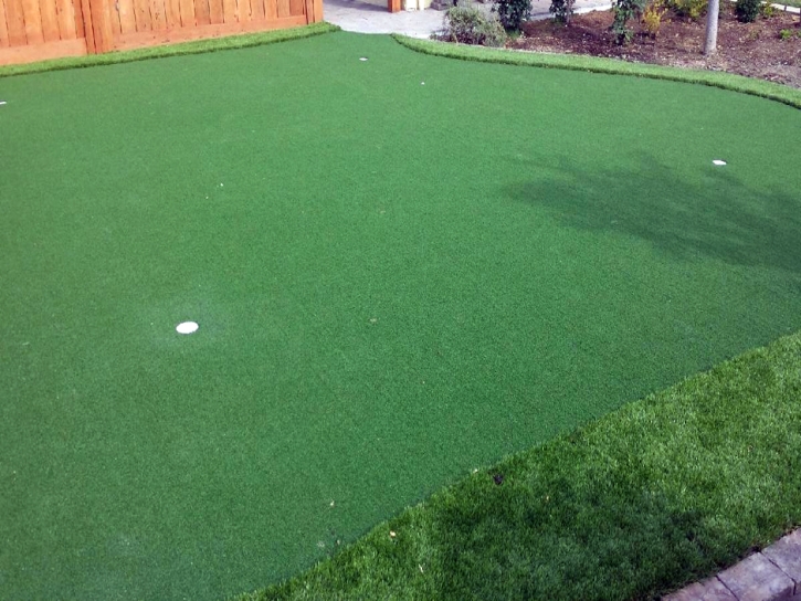 Artificial Grass The Pinery, Colorado Golf Green