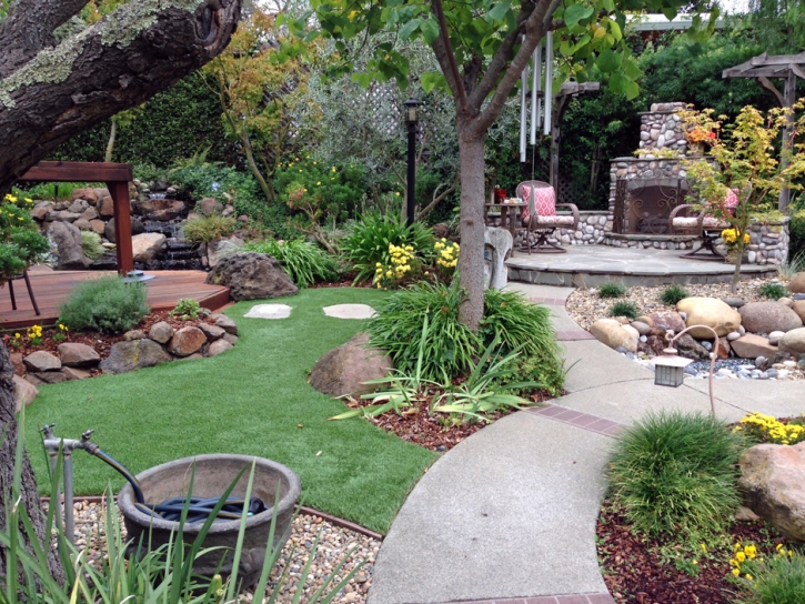 Artificial Grass Westcreek, Colorado Landscaping Business, Backyard Landscaping