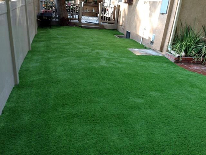 Artificial Grass Wiggins, Colorado Lawns, Backyard