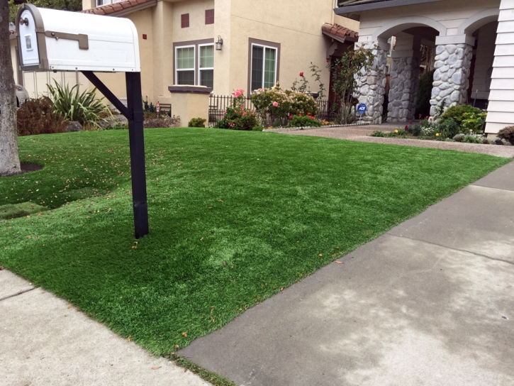 Artificial Lawn Alma, Colorado Backyard Playground, Front Yard Landscaping Ideas