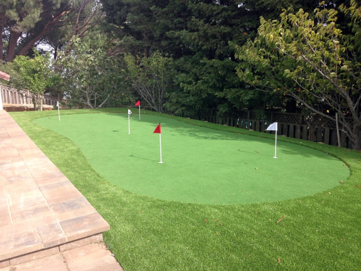 Artificial Lawn Campo, Colorado Home Putting Green, Backyard Landscaping