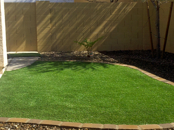 Artificial Lawn Cimarron Hills, Colorado Roof Top, Backyard Designs