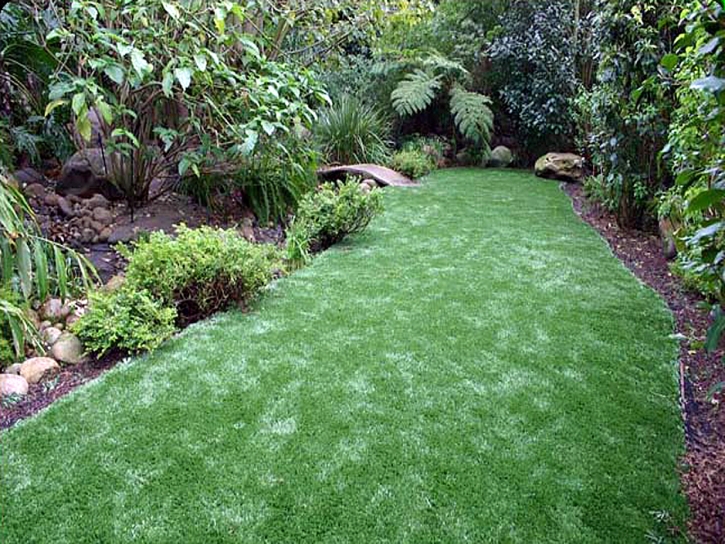 Artificial Lawn El Moro, Colorado Garden Ideas, Backyard Designs