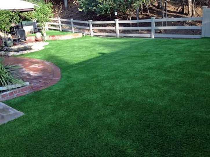 Artificial Lawn Florissant, Colorado Cat Grass, Backyard Ideas