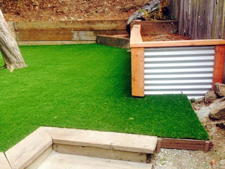 Artificial Lawn Hotchkiss, Colorado Landscape Ideas, Small Backyard Ideas