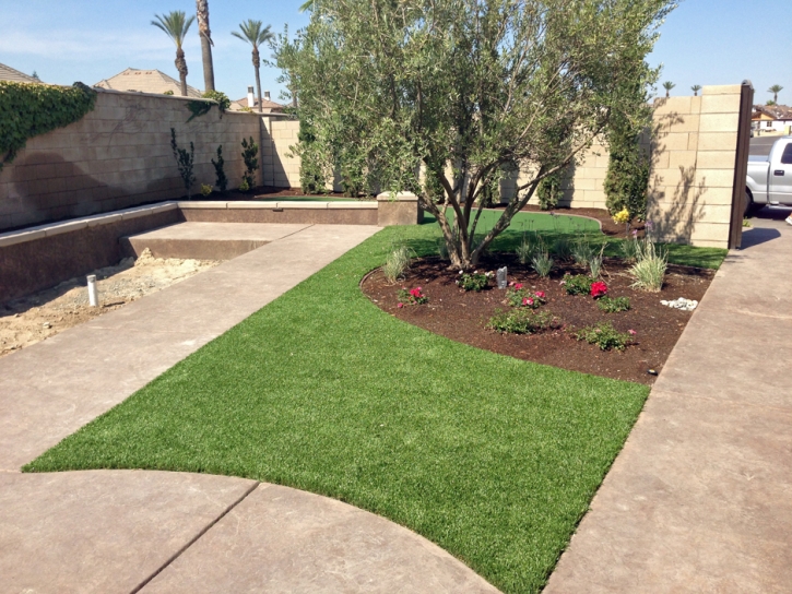 Artificial Lawn Kiowa, Colorado Landscaping Business, Front Yard Ideas