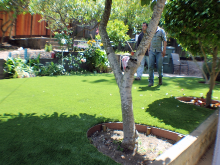 Artificial Lawn North La Junta, Colorado Landscape Photos, Backyard Garden Ideas