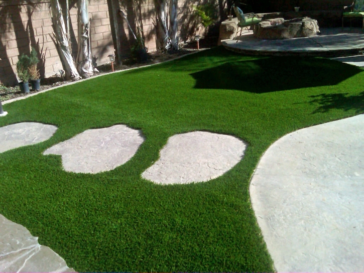 Artificial Lawn Weldona, Colorado Landscape Design, Backyard Garden Ideas