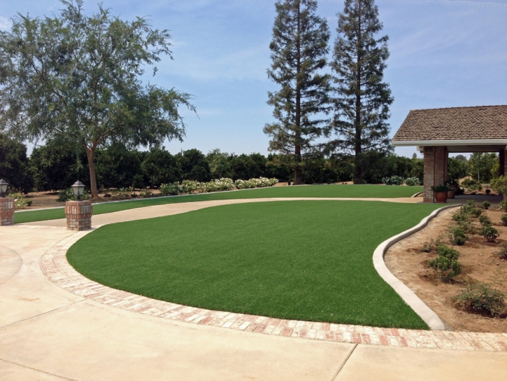 Artificial Lawn Wiley, Colorado Lawn And Garden, Front Yard Ideas