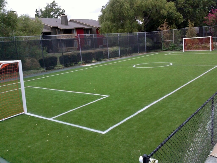 Artificial Lawn Woodland Park, Colorado Bocce Ball Court, Commercial Landscape