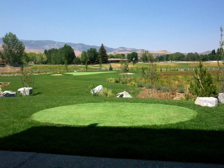 Artificial Turf Battlement Mesa, Colorado Landscaping Business, Backyard Landscape Ideas