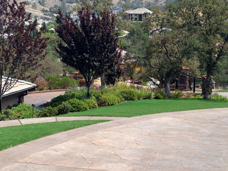 Artificial Turf Berkley, Colorado Gardeners, Landscaping Ideas For Front Yard