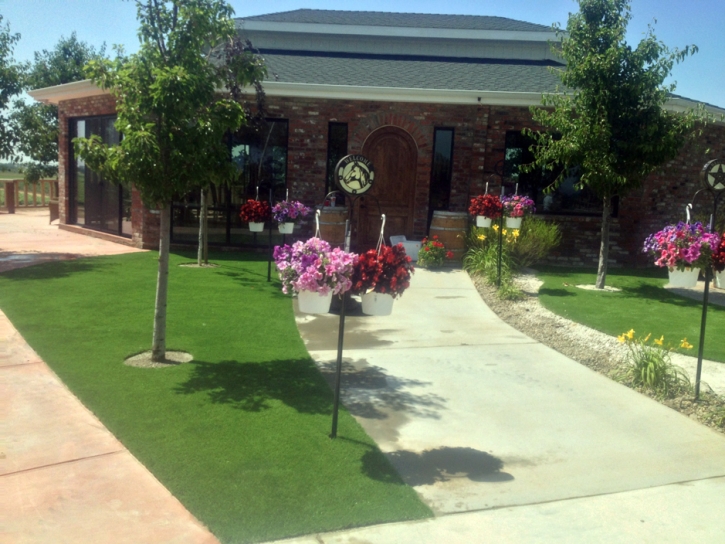 Artificial Turf Berthoud, Colorado Landscape Photos, Commercial Landscape