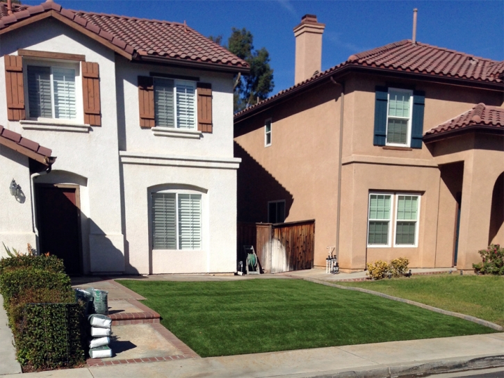 Artificial Turf Canon City, Colorado Rooftop, Front Yard Ideas