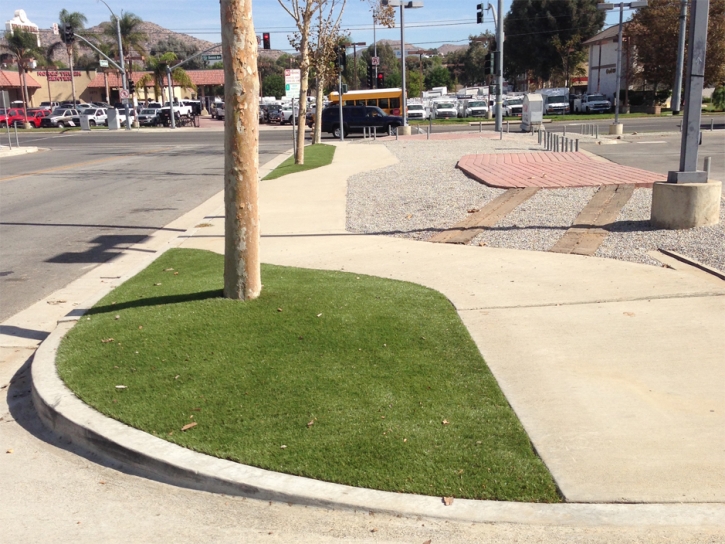 Artificial Turf Cost Boulder, Colorado Home And Garden, Commercial Landscape