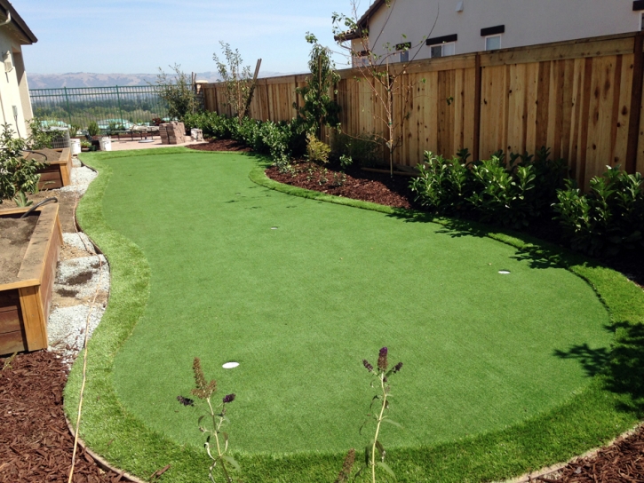 Artificial Turf Cost Brandon, Colorado How To Build A Putting Green, Backyard Garden Ideas