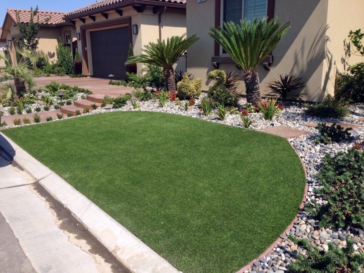 Artificial Turf Cost Keystone, Colorado City Landscape, Front Yard Ideas