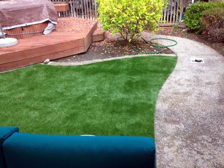 Artificial Turf Cost Midland, Colorado Lawns, Small Backyard Ideas