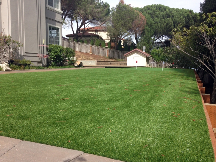 Artificial Turf Cost Nucla, Colorado Home Putting Green, Backyard