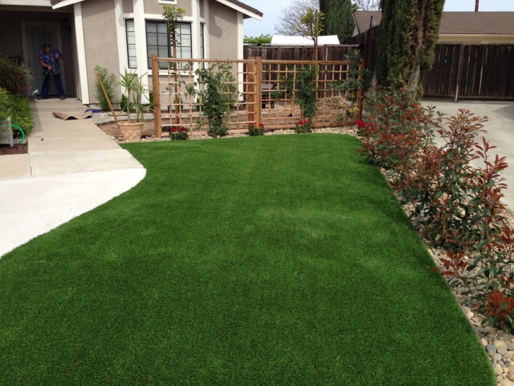 Artificial Turf Cost Sedgwick, Colorado Landscape Photos, Front Yard