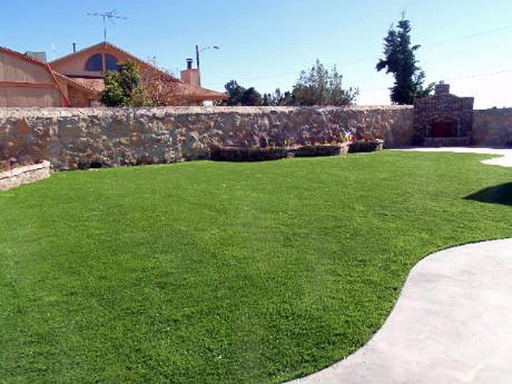 Artificial Turf Cripple Creek, Colorado Gardeners, Small Backyard Ideas