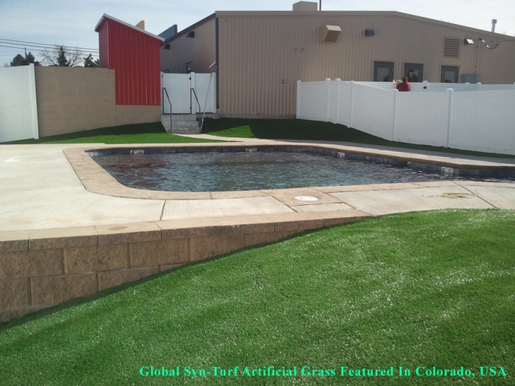 Artificial Turf Derby, Colorado Landscaping, Backyard Pool