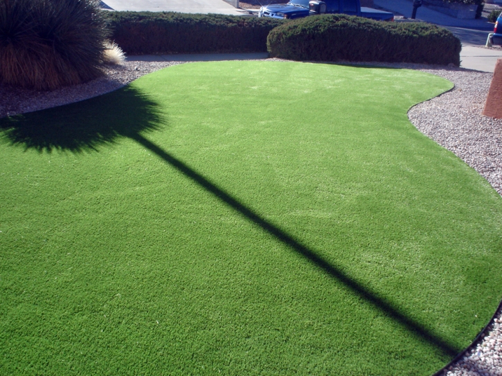 Artificial Turf Installation Edwards, Colorado Landscape Photos, Front Yard Design