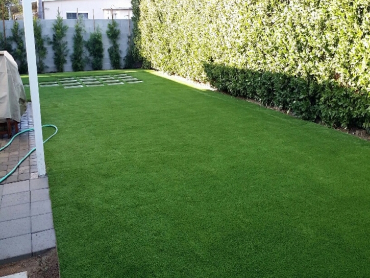 Artificial Turf Installation Hartman, Colorado City Landscape, Backyard Design