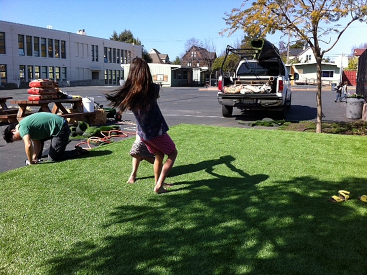 Artificial Turf Installation Norrie, Colorado Gardeners, Commercial Landscape