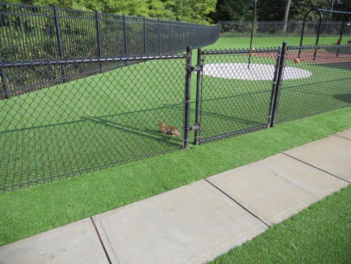 Artificial Turf Installation Victor, Colorado Backyard Deck Ideas, Parks