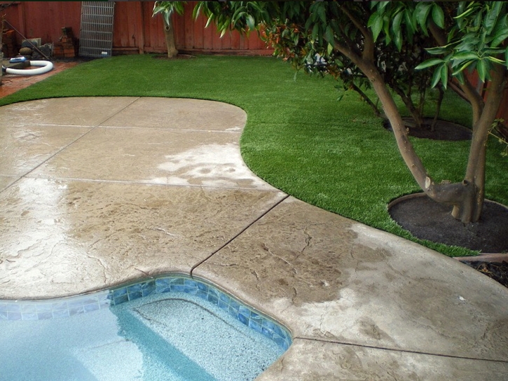 Artificial Turf Jamestown, Colorado Design Ideas, Backyard Landscape Ideas