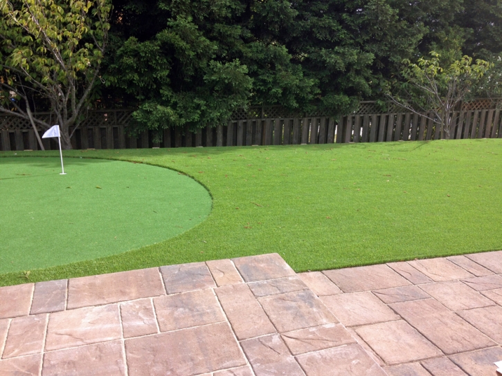 Artificial Turf Jamestown, Colorado Putting Green Carpet, Backyard Landscaping