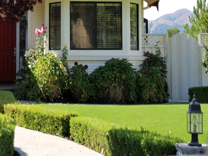 Artificial Turf Ken Caryl, Colorado City Landscape, Front Yard Landscaping